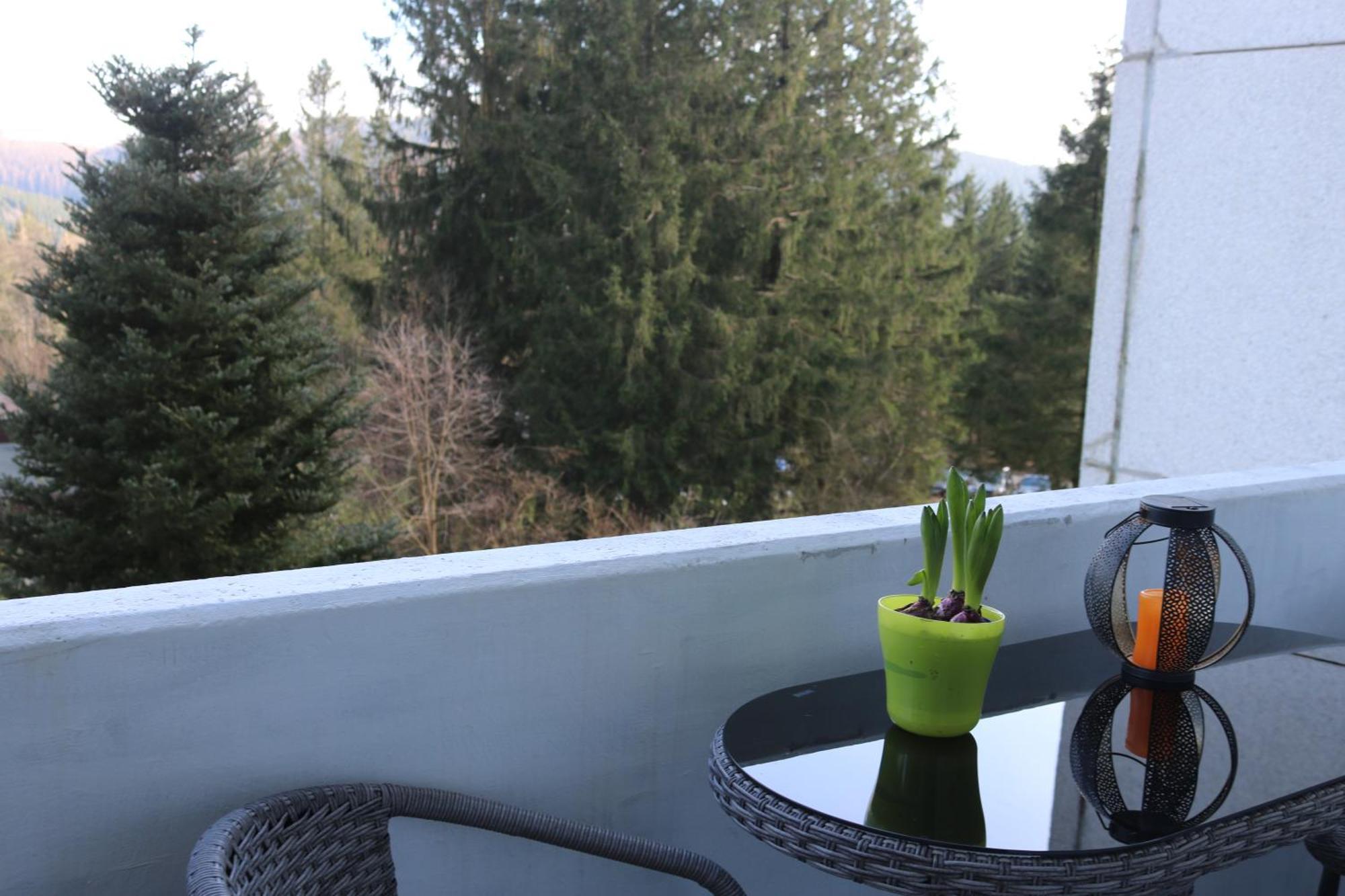 Natur Suite กอสลาร์ ภายนอก รูปภาพ